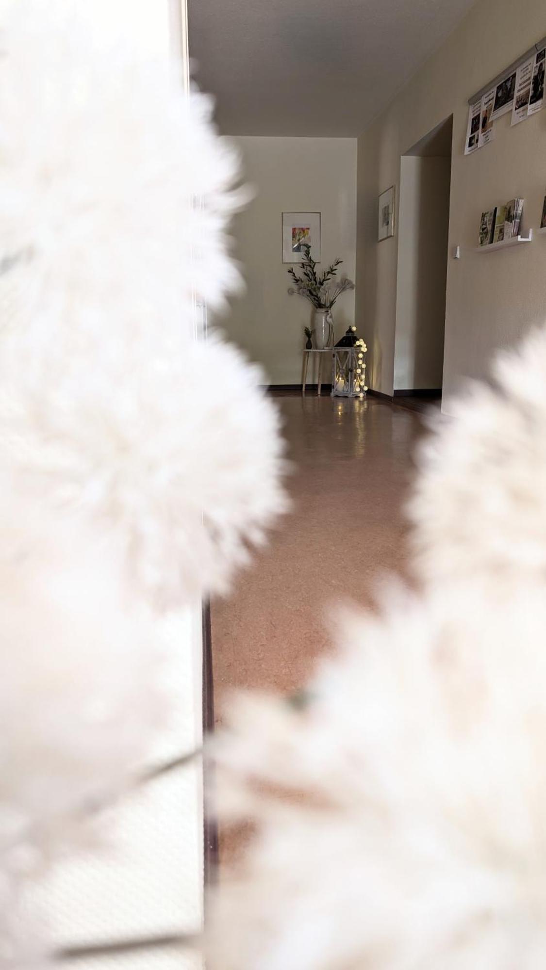 Villa Regina Bad Freienwalde Extérieur photo