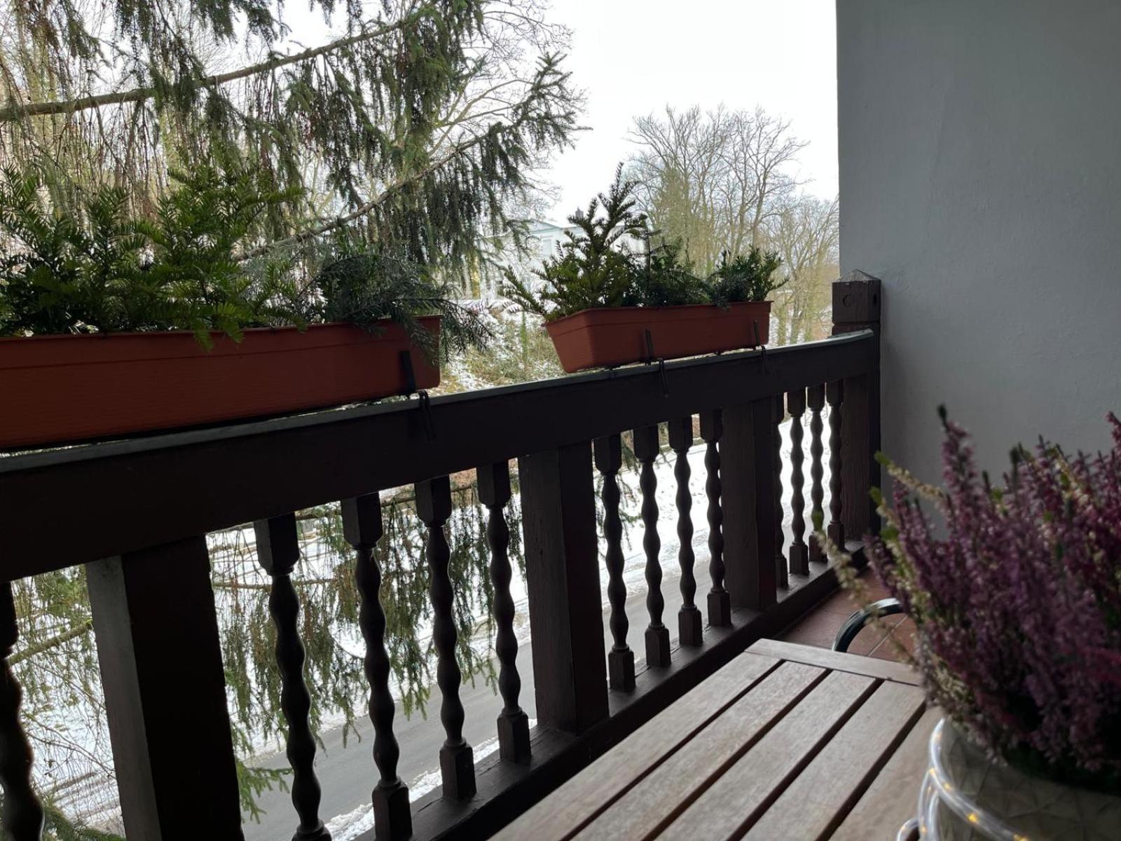 Villa Regina Bad Freienwalde Extérieur photo