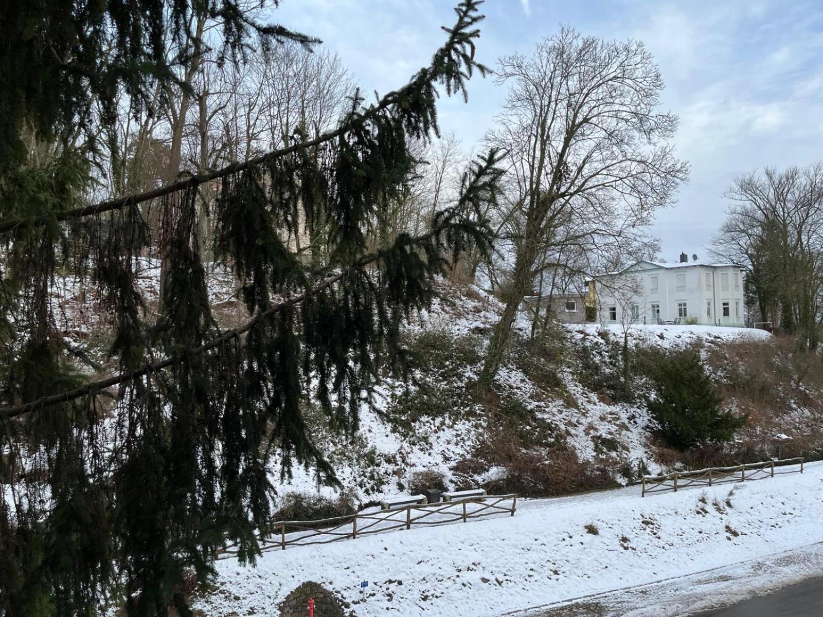 Villa Regina Bad Freienwalde Extérieur photo